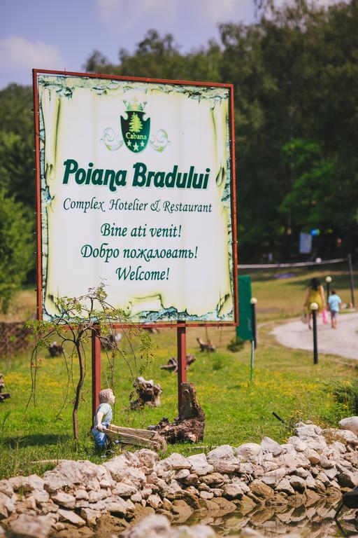 Poiana Bradului Villa Tohatin Luaran gambar